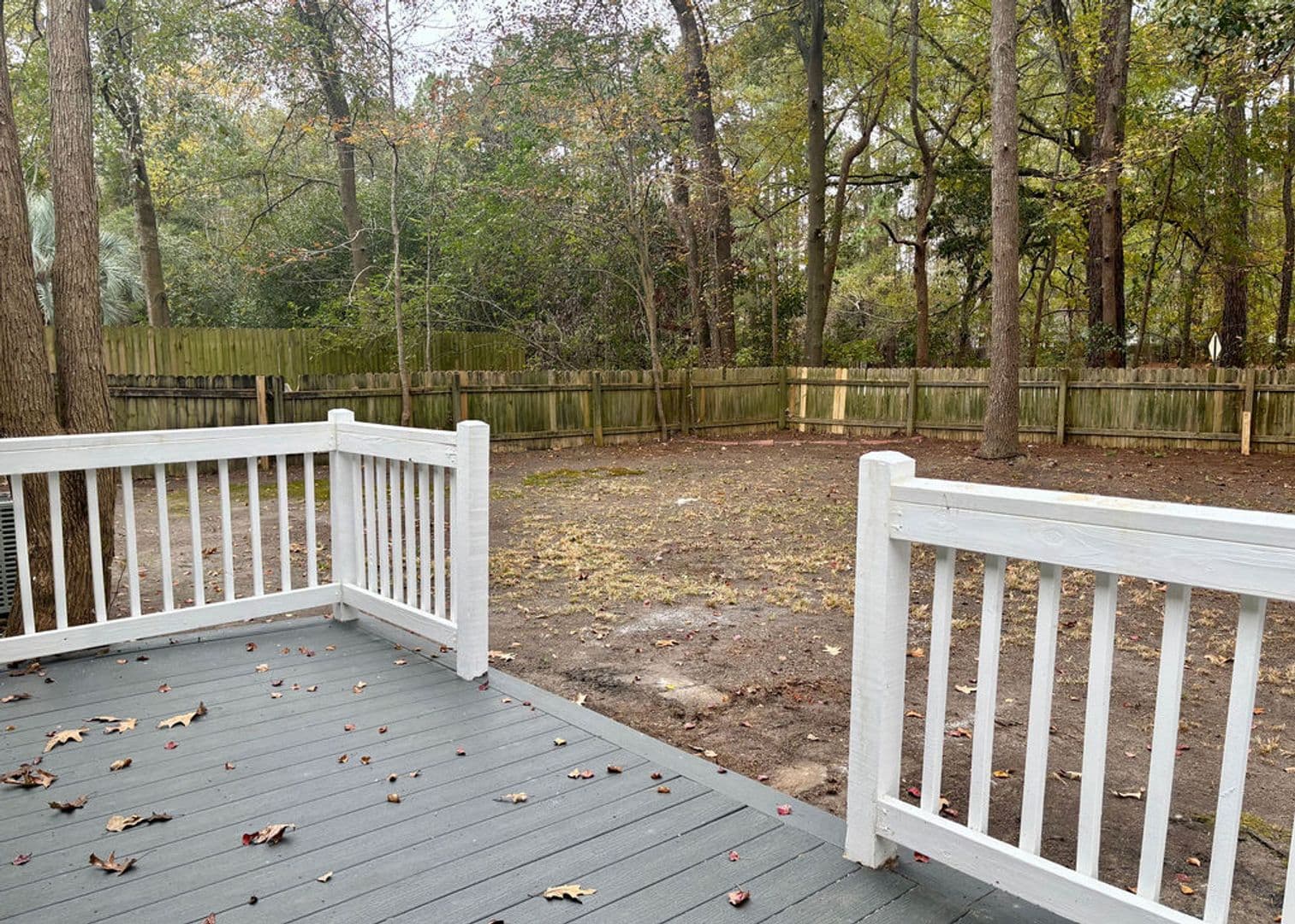 Goose Creek House: 204 Bridgecreek Drive