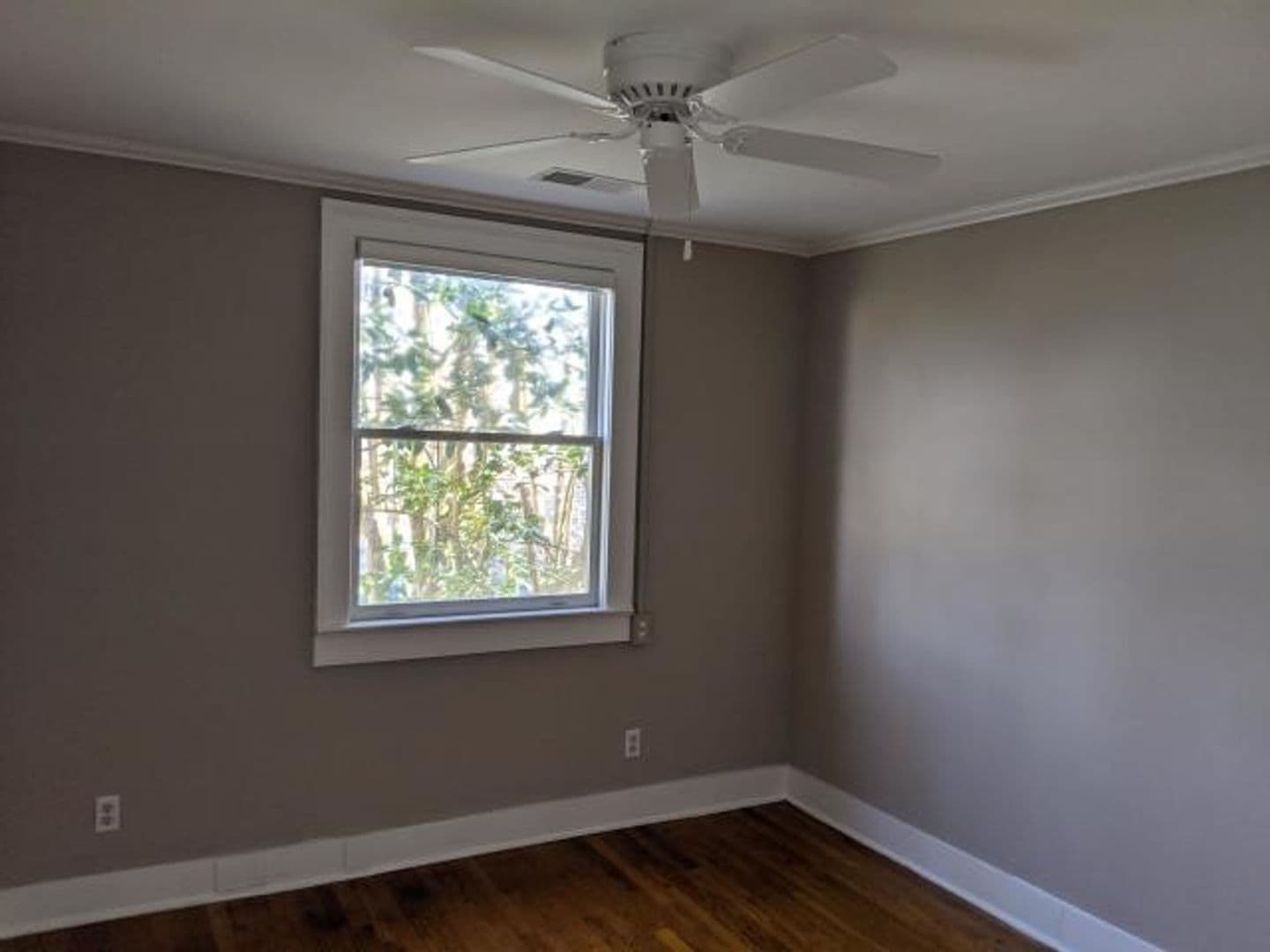 Charleston House: 36 Charlotte Street Apt #2