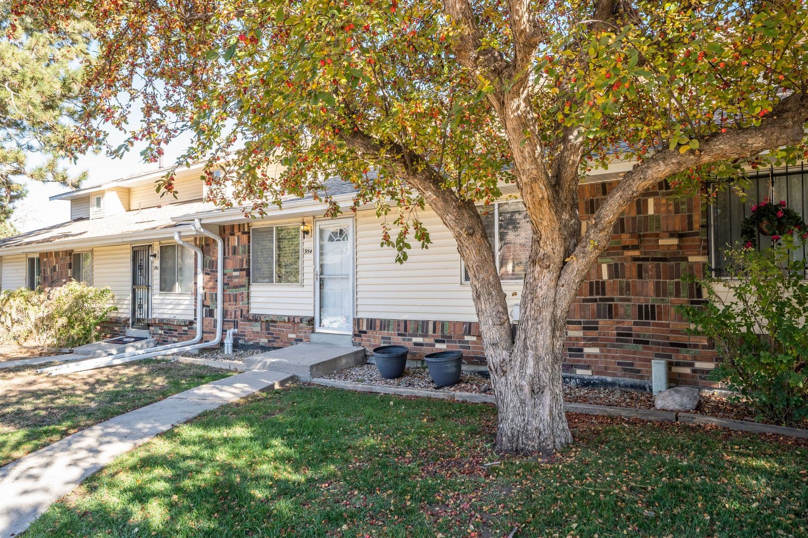 Lakewood Apartment: 954 S. Miller St.