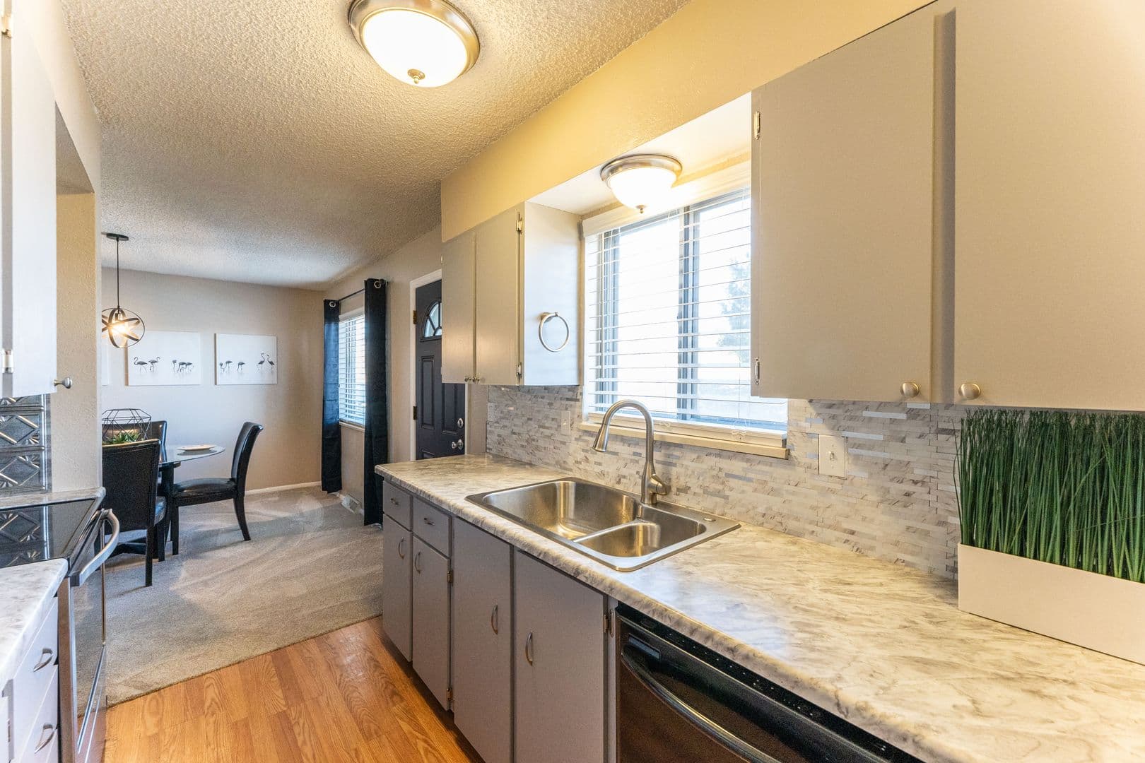 Lakewood Apartment: 954 S. Miller St.