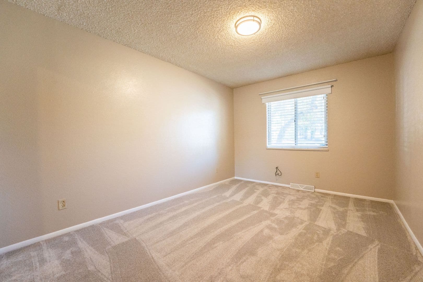 Lakewood Apartment: 954 S. Miller St.