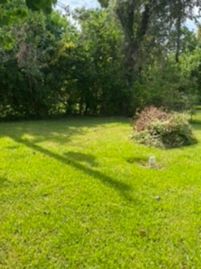 Houston House: 9909 Whitehead Street