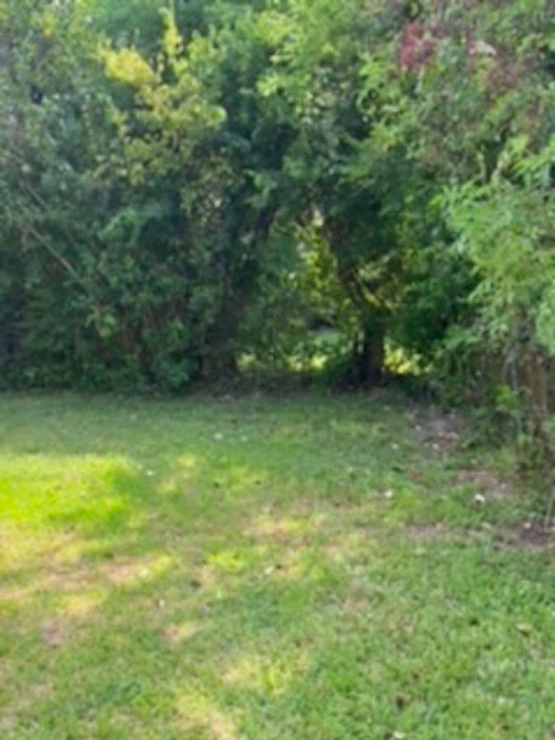 Houston House: 9909 Whitehead Street