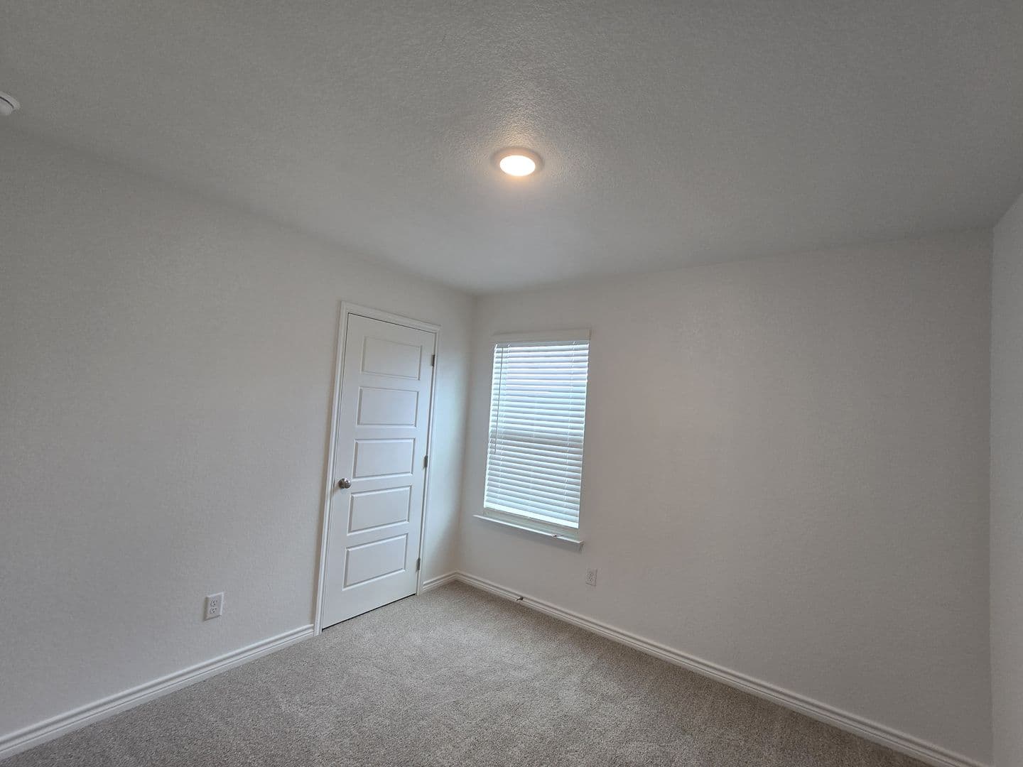 Killeen Apartment: 9000 Little Leaf Mulberry Drive, Unit B
