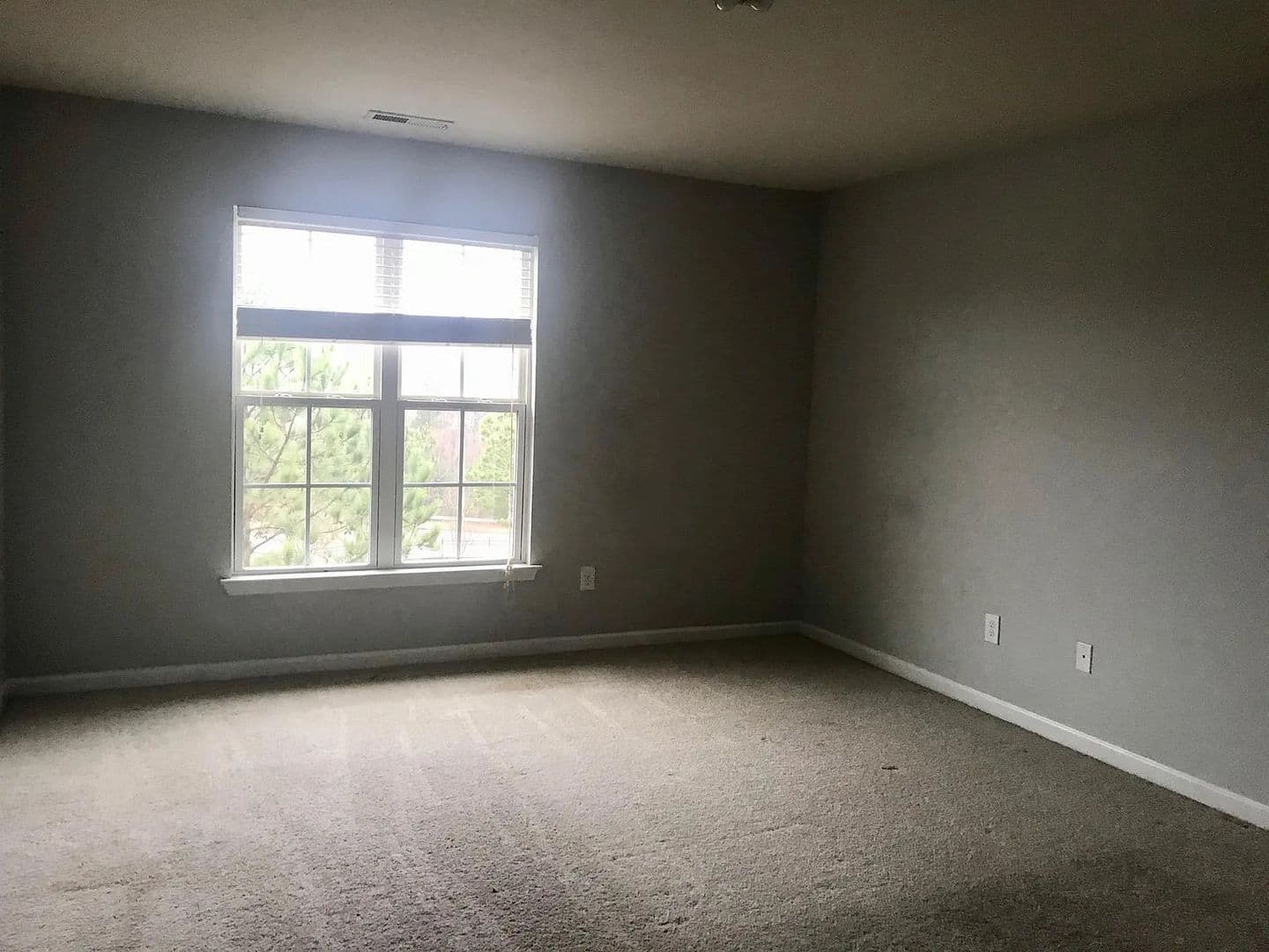 Cary House: 215 Dove Cottage Ln