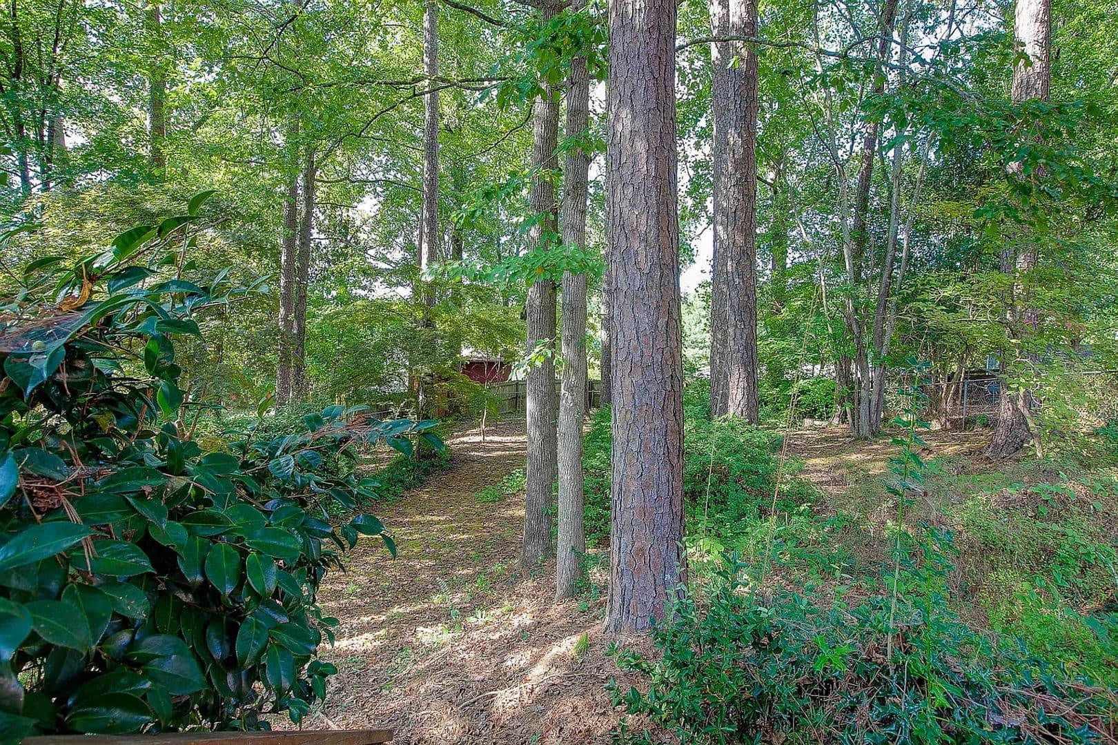Smyrna House: 1573 Cooper Lake Rd SE