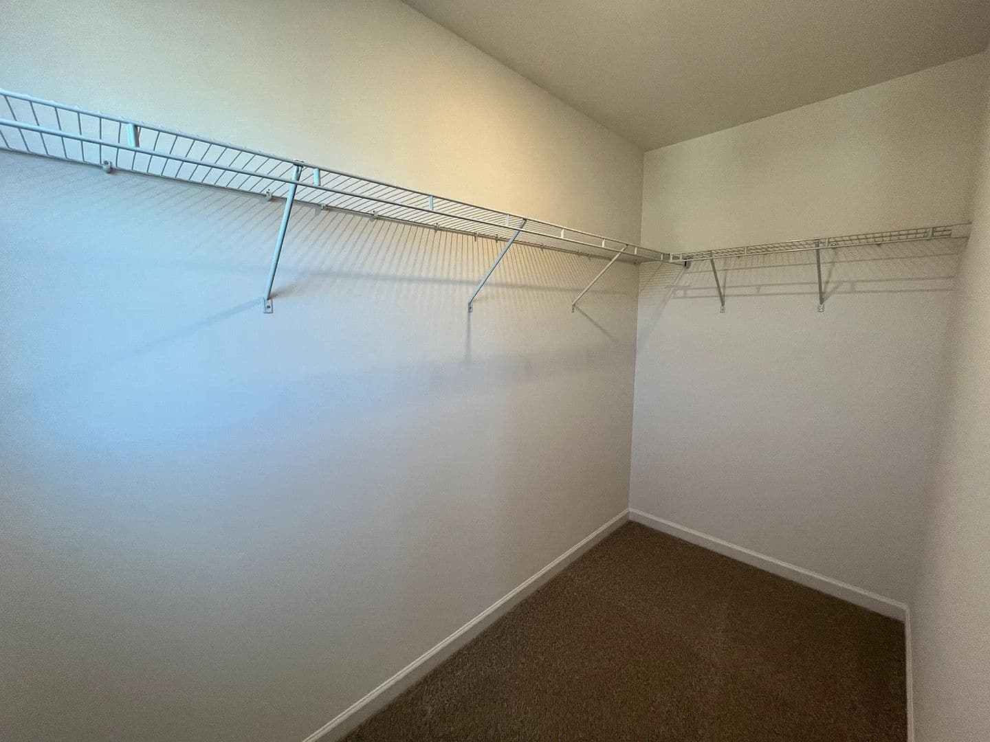 Charlotte House: 11031 Pagebrook Ln