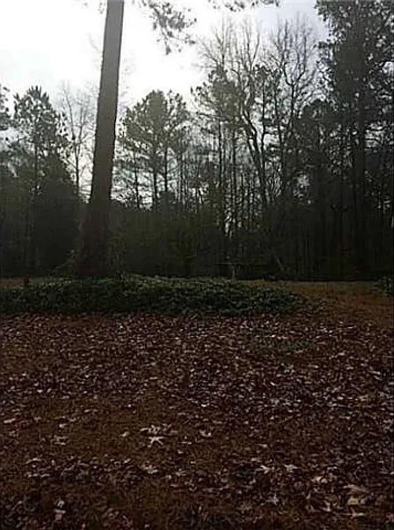 Villa Rica House: 14461 Veterans Memorial Highway