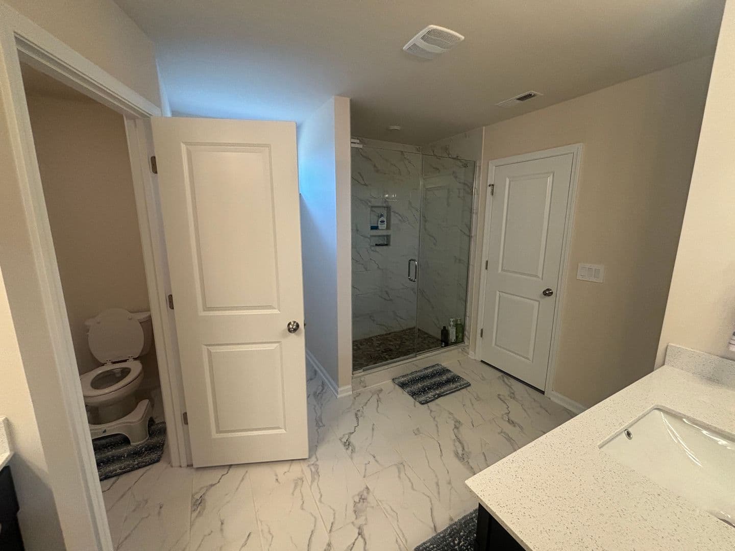 Holly Springs House: 317 Aintree Ave