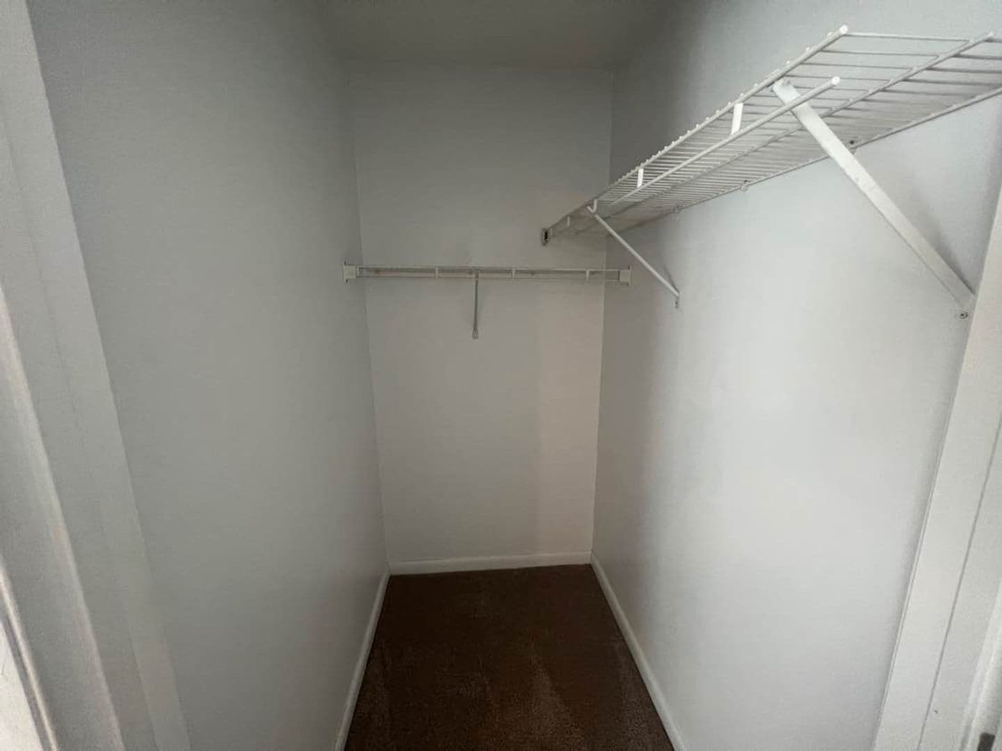 Raleigh House: 1411 Collegiate Cir