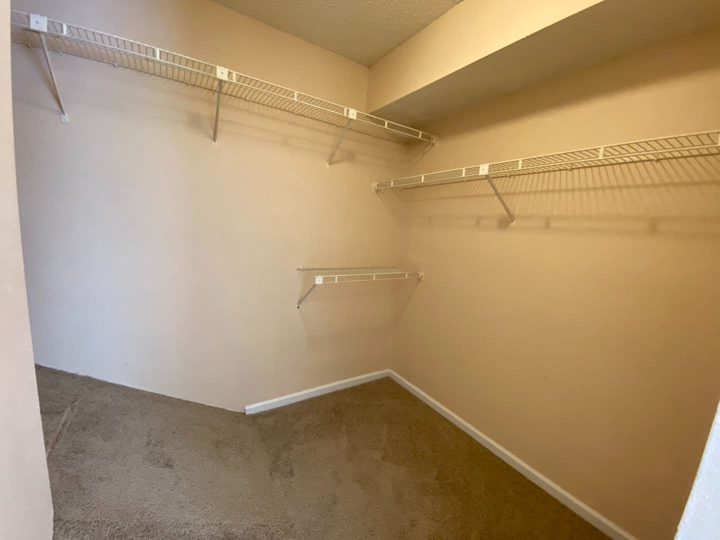 Raleigh House: 7765 Falcon Rest Cir