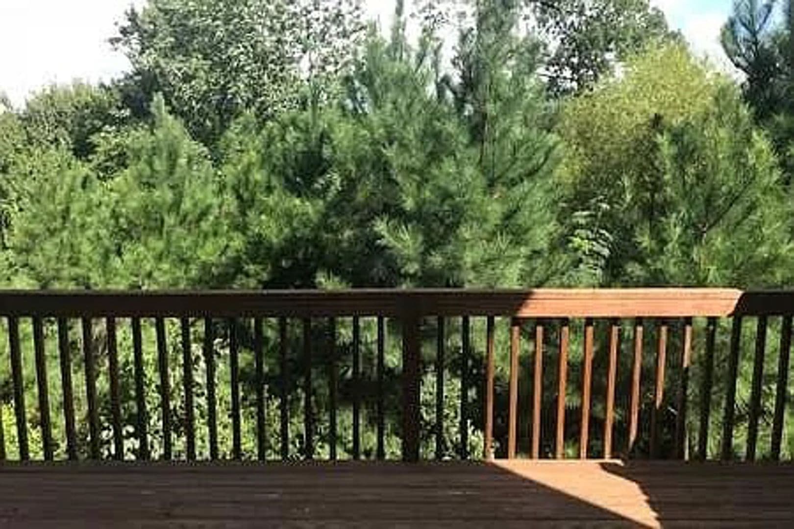 Cary House: 116 Linden Park Ln