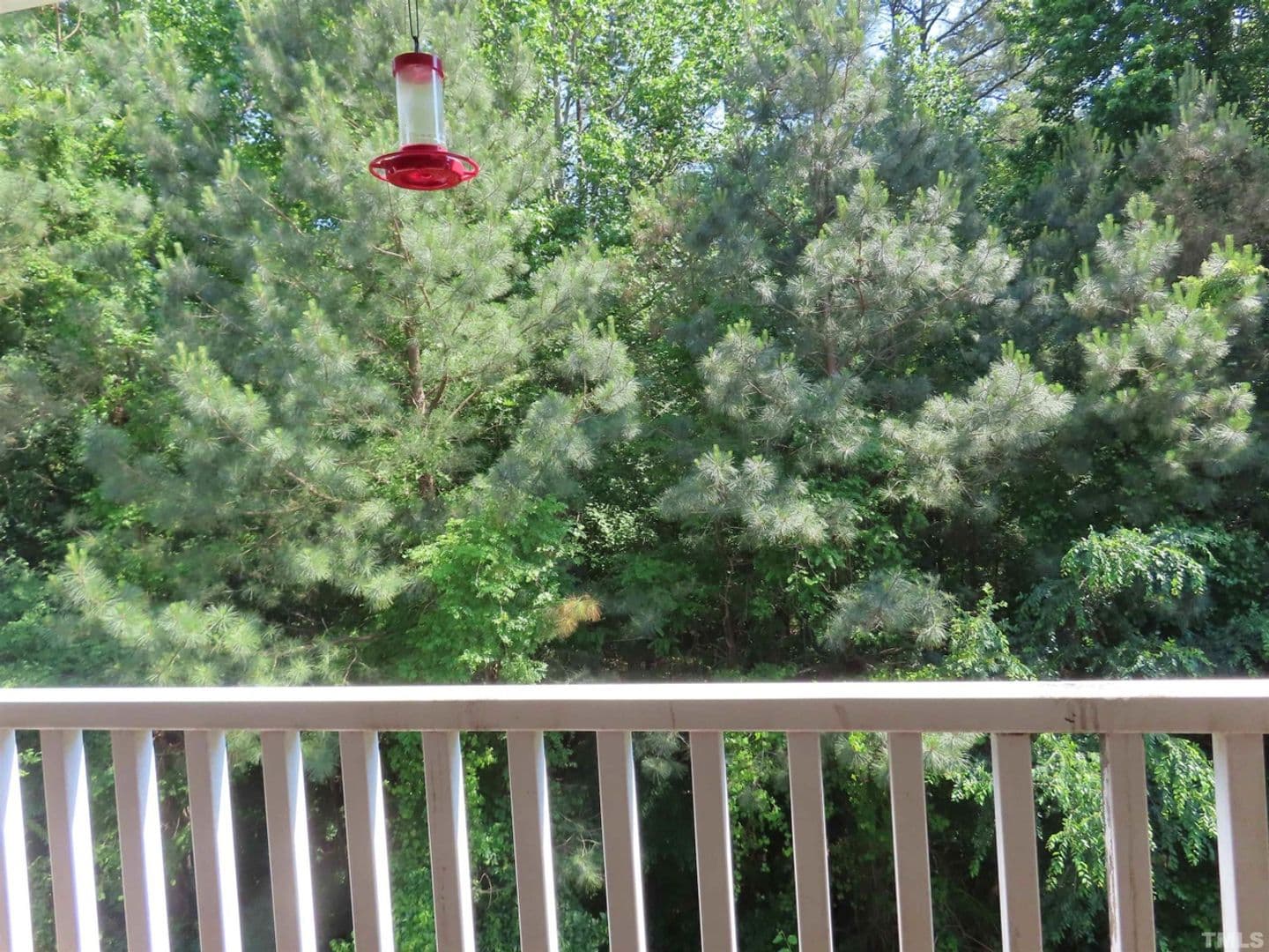 Raleigh House: 1321 #304 Crab Orchard Dr
