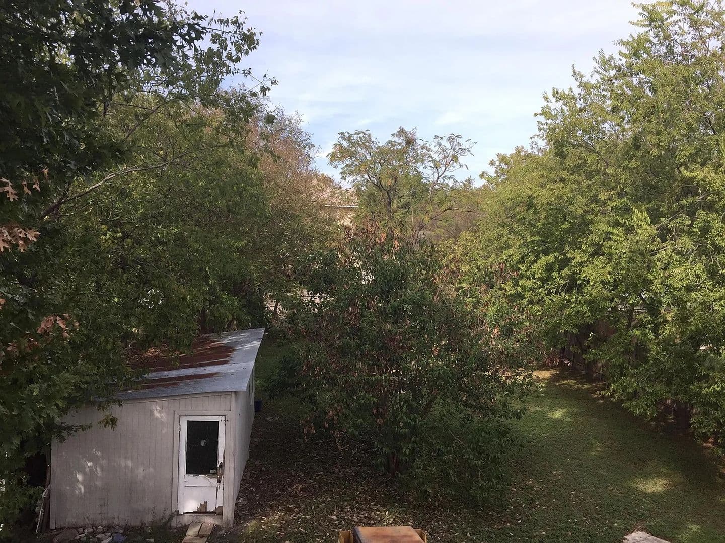 San Antonio House: 411 E Laurel