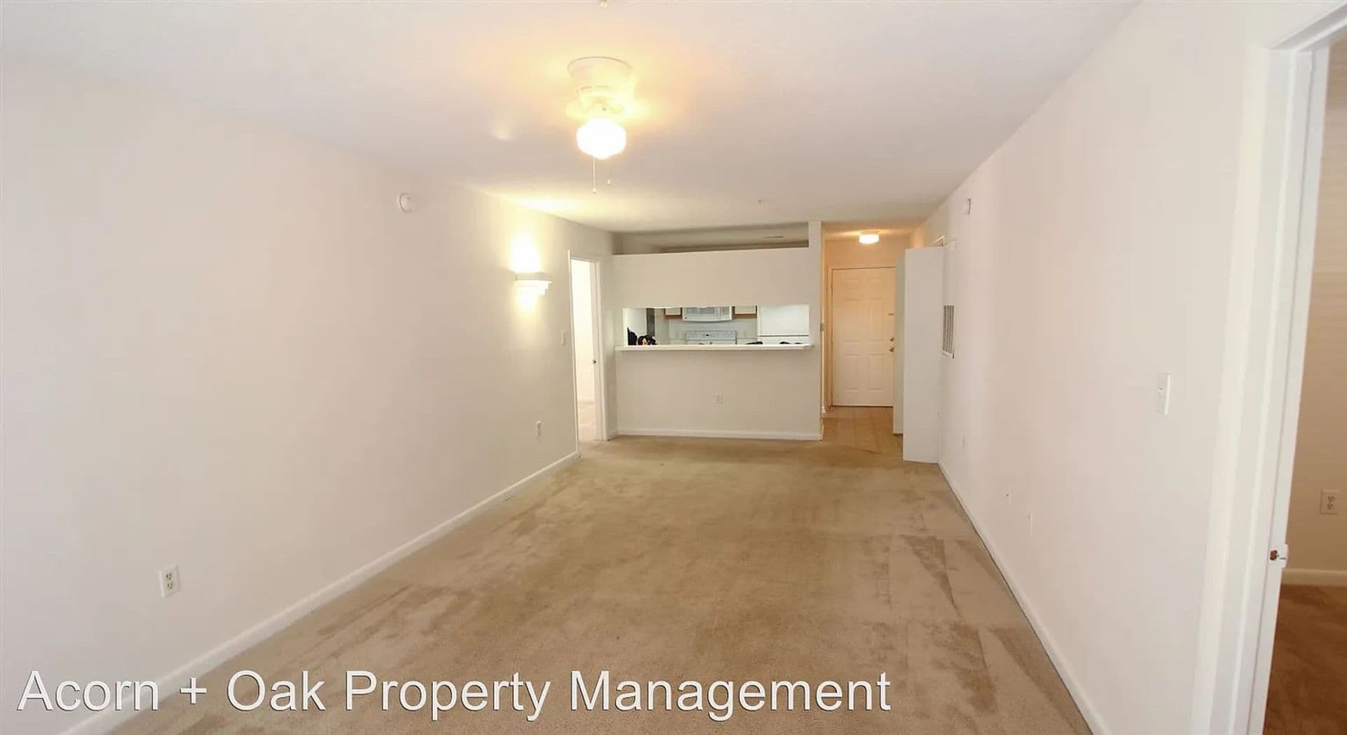 Raleigh House: 1431 Collegiate Cir