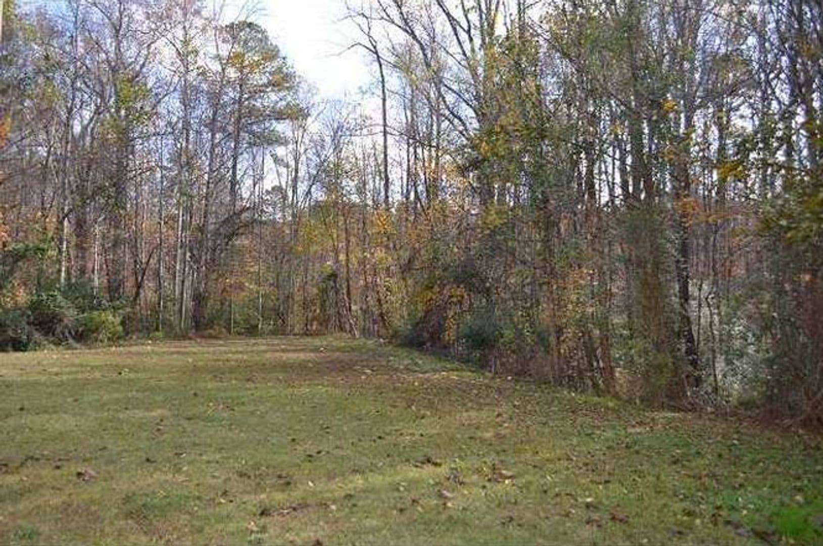 Raleigh House: 1431 Collegiate Cir