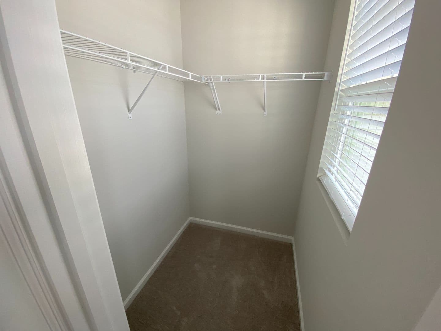 Raleigh House: 4938 Southern Magnolia Dr