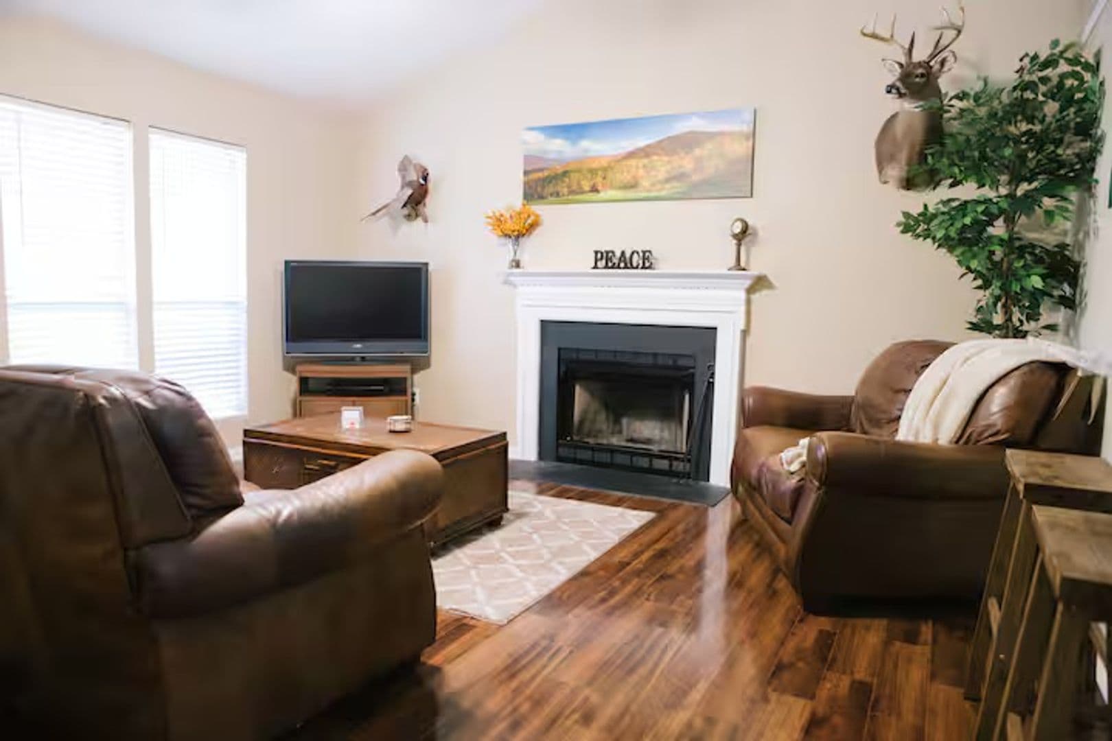 Youngsville House: 7000 Sandy Pines Dr