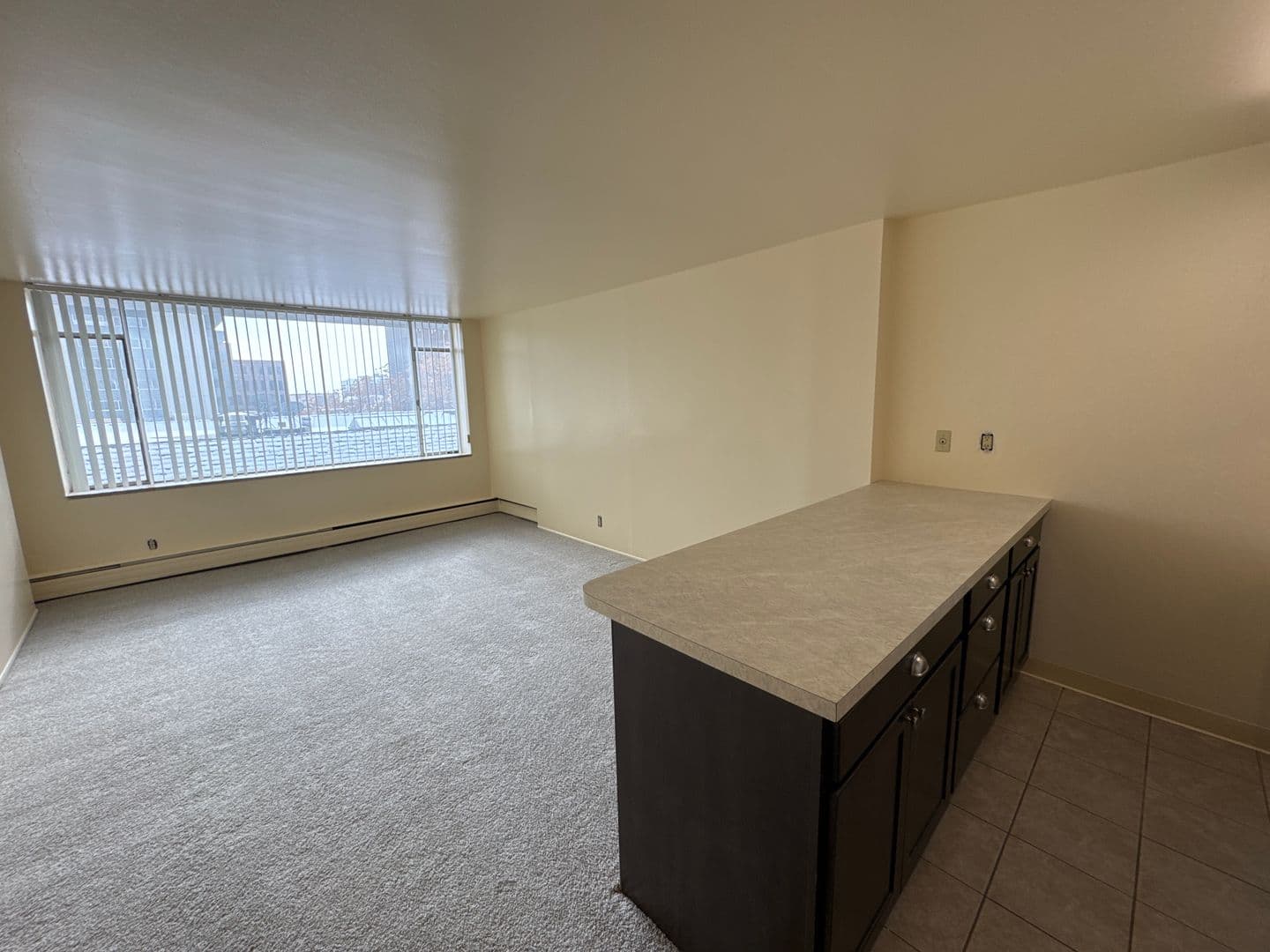 Denver Apartment: 330 E. 10th Avenue