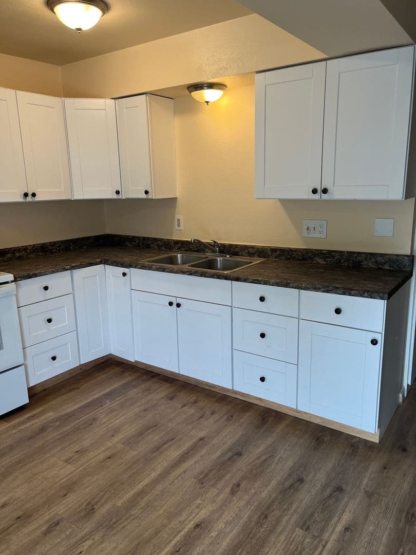 Reno Apartment: 322 and 324 Thoma St