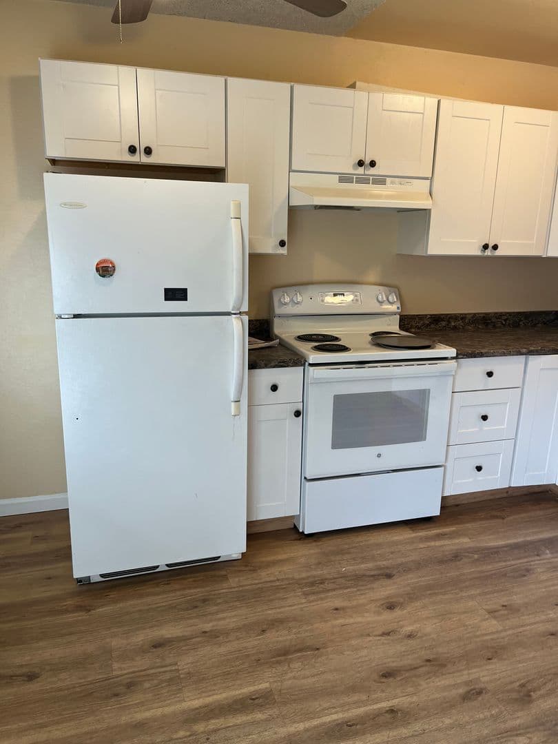 Reno Apartment: 322 and 324 Thoma St