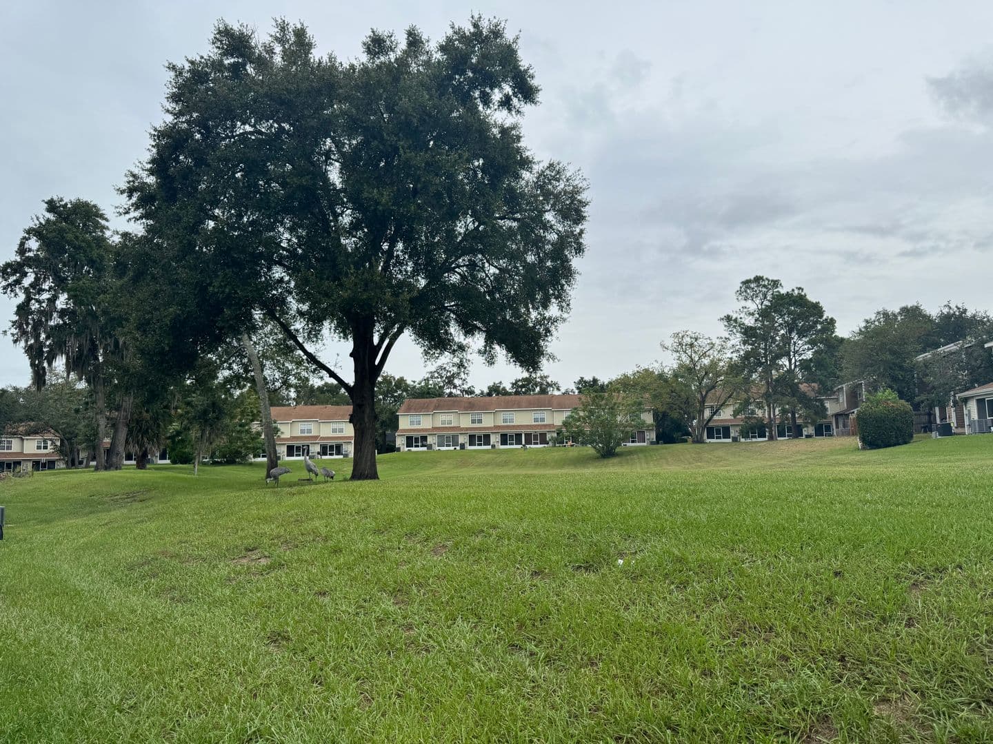 Orlando Townhome: 4149 Plantation Cove Drive