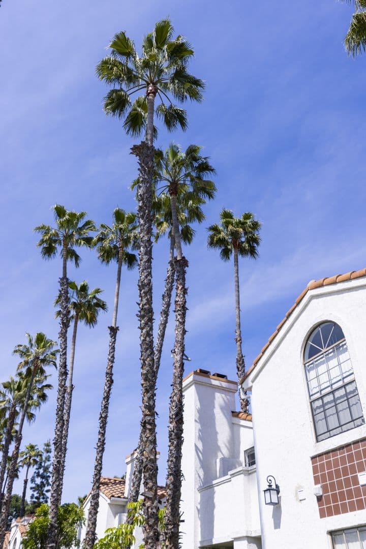 Mission Viejo Apartment: 23842 Alicia Parkway - Unit 213