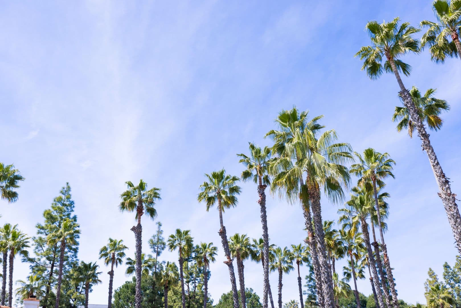 Mission Viejo Apartment: 23842 Alicia Parkway - Unit 213