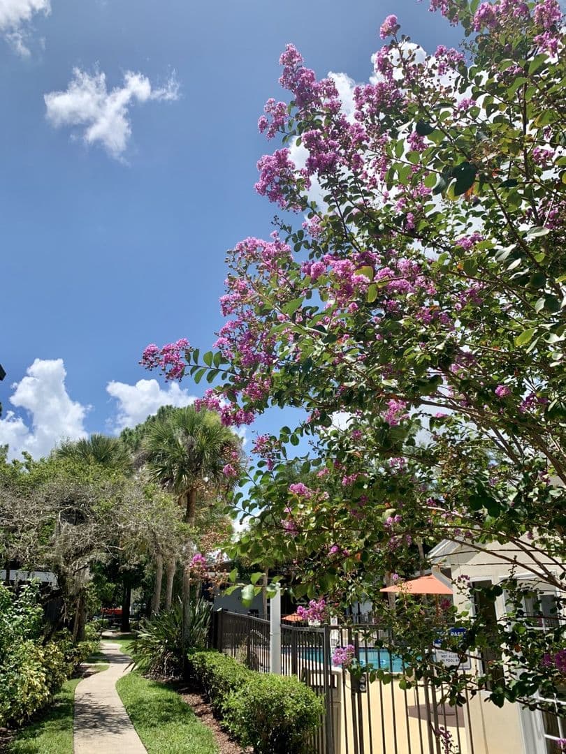 Orlando Apartment: 1448 Adriel Lane