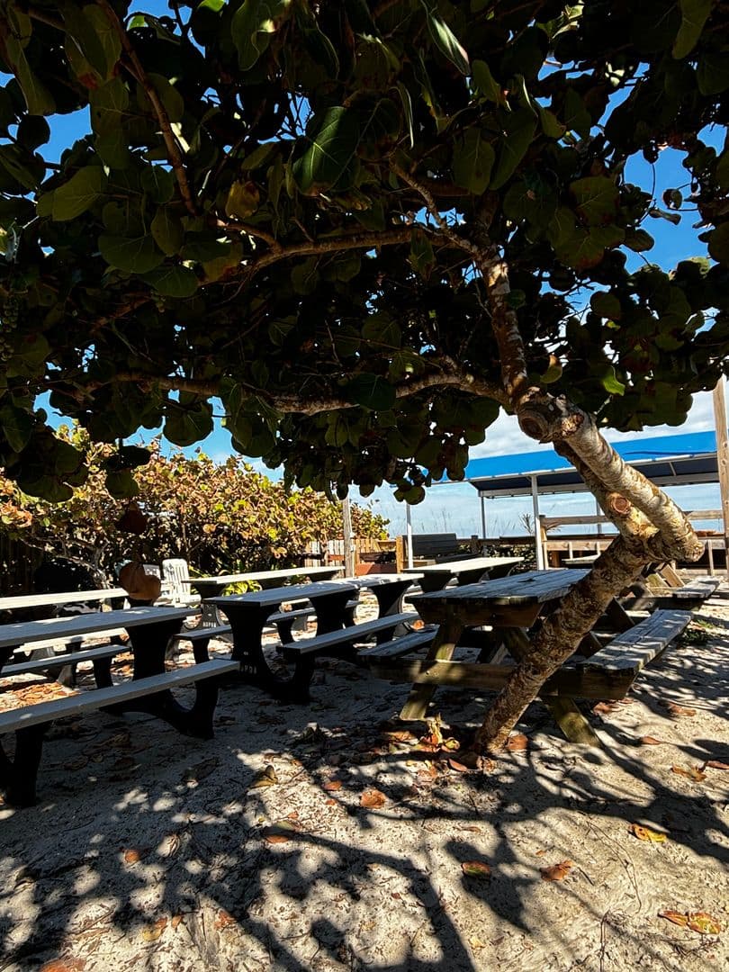 Melbourne Beach House: 245 Heron Dr.