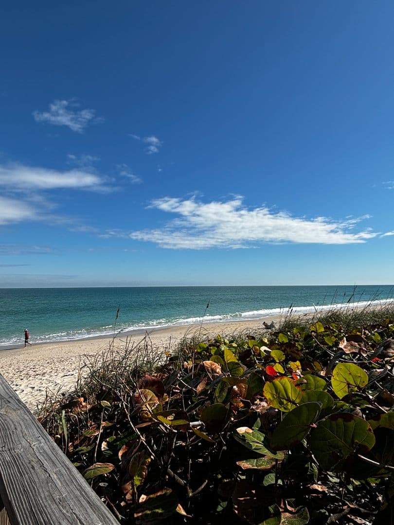 Melbourne Beach House: 245 Heron Dr.