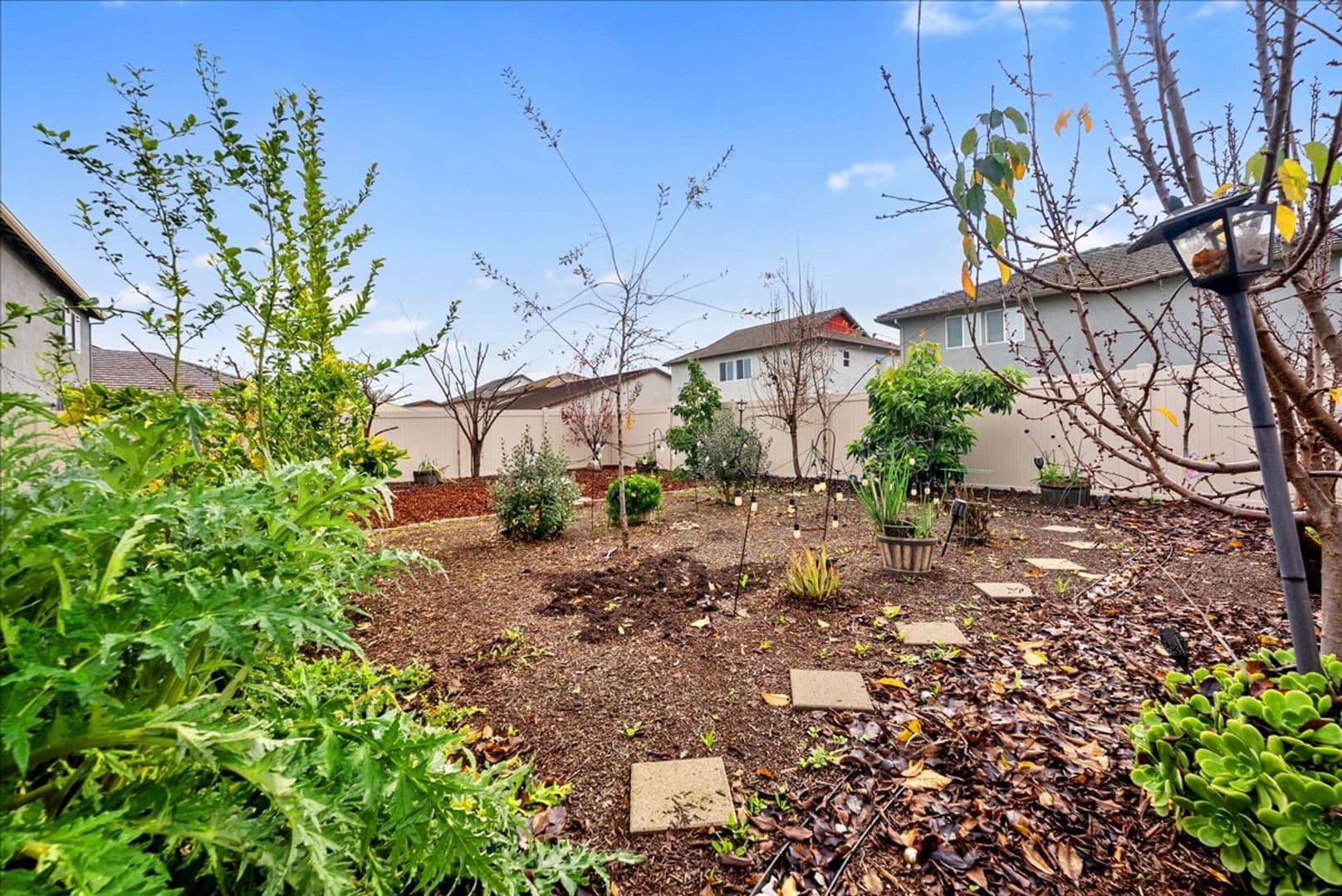 Sacramento House: 3818 Fong Ranch Rd