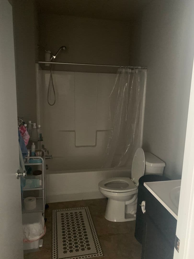 Iowa City Apartment: 20 S Gilbert