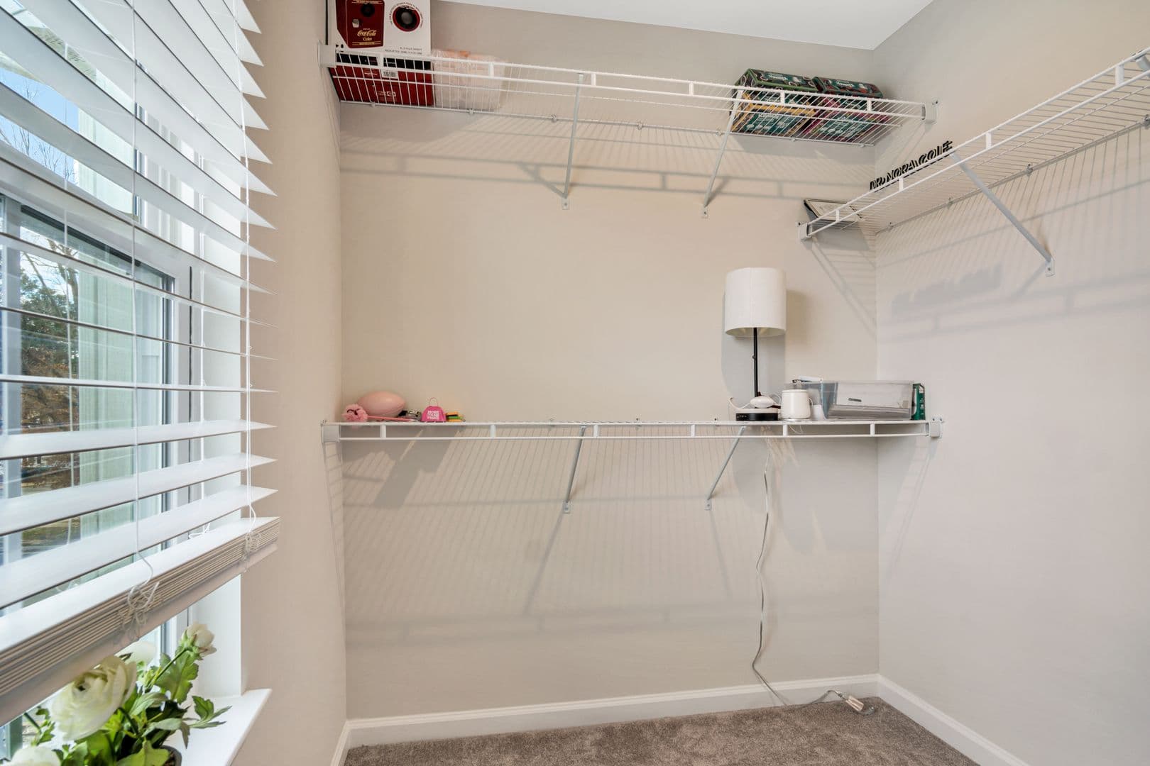 Williamsburg Townhome: 105 Stegg Street