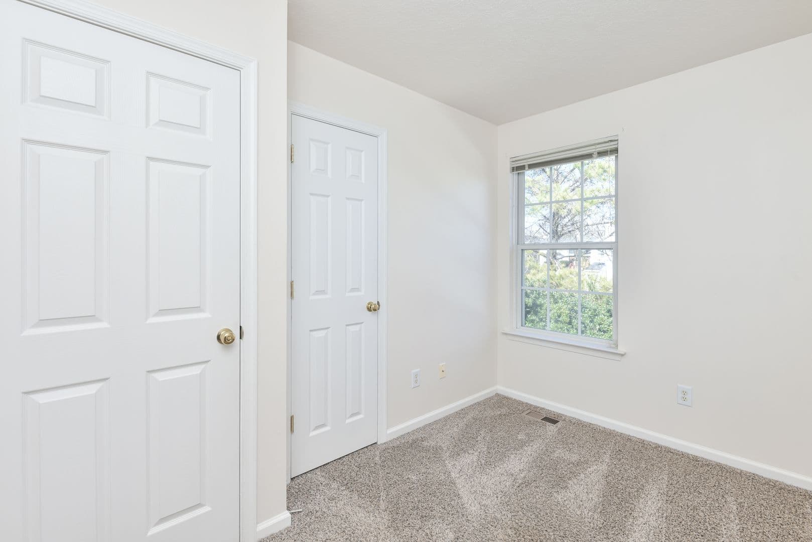 Williamsburg Townhome: 1531 Creek Ct