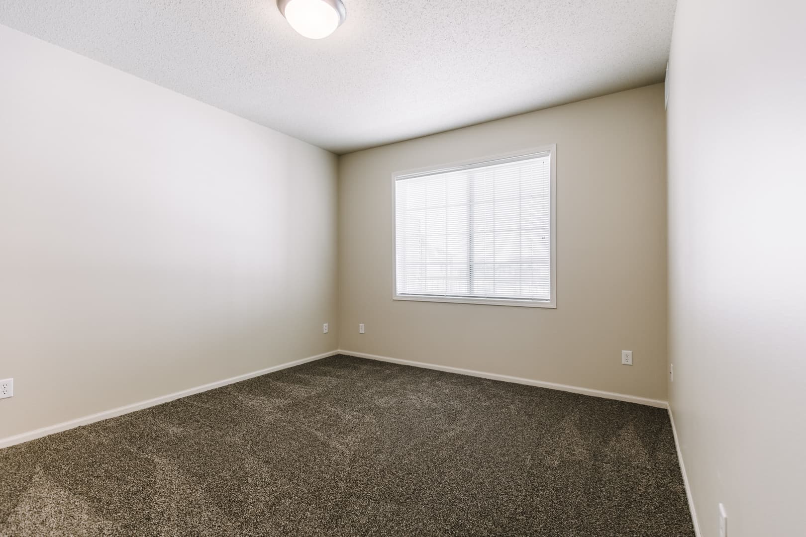 Mandan Apartment: 4201 21st St SE