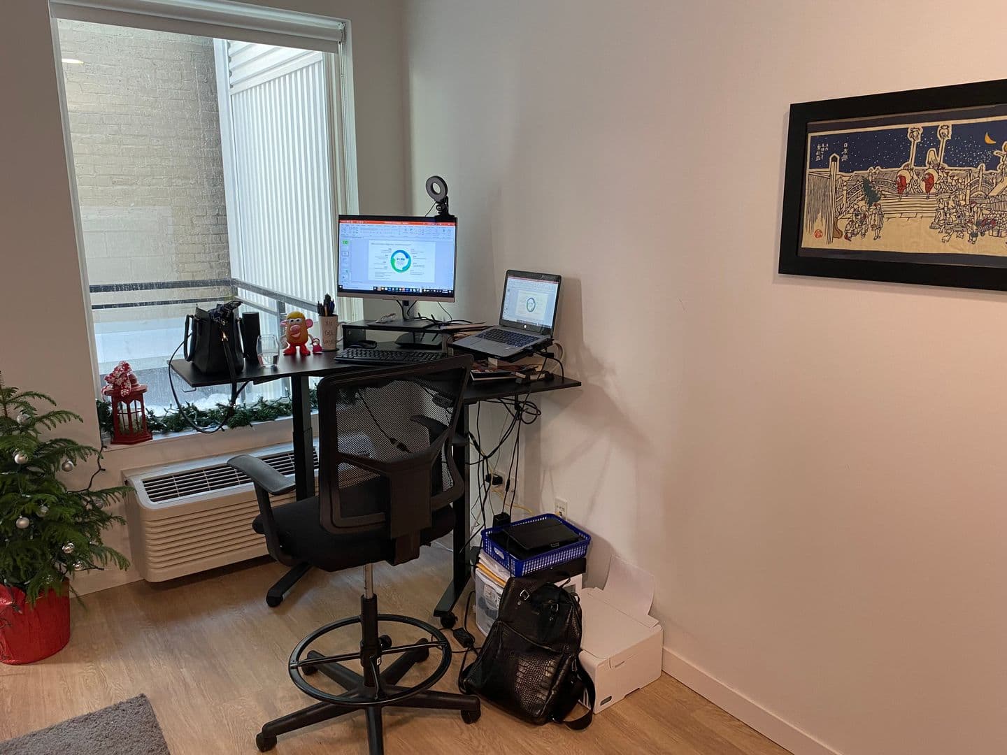Rochester Apartment: 33 4th Street SW