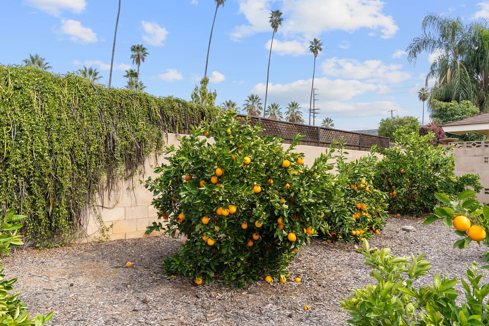 Redlands Apartment: 534 Roosevelt Rd