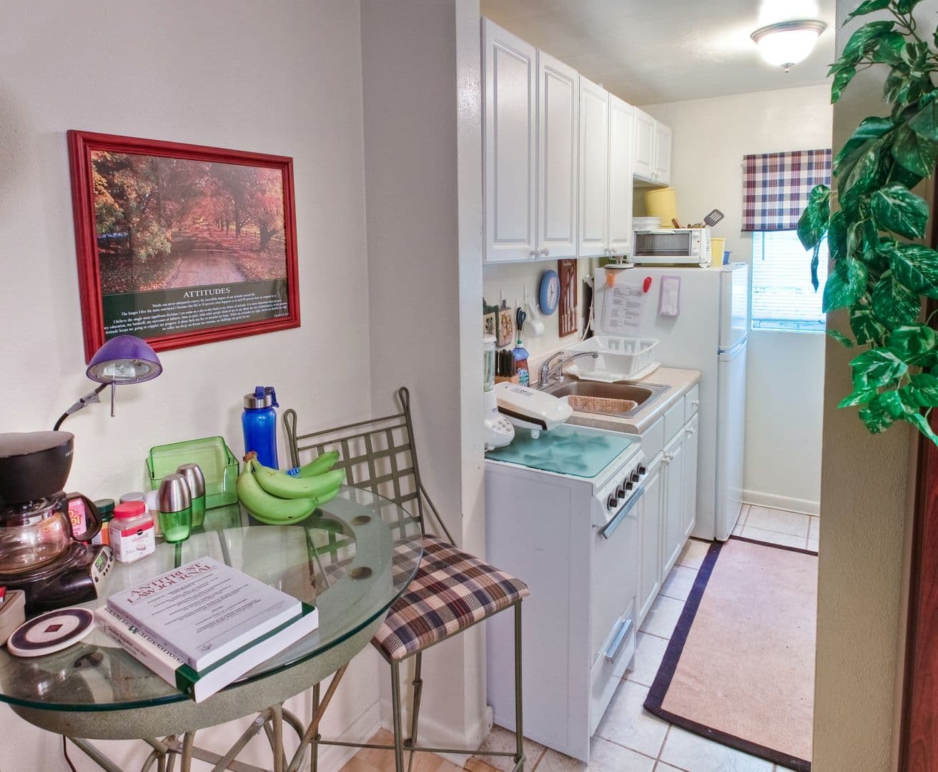 Gainesville Apartment: 1222 NW 8th Avenue
