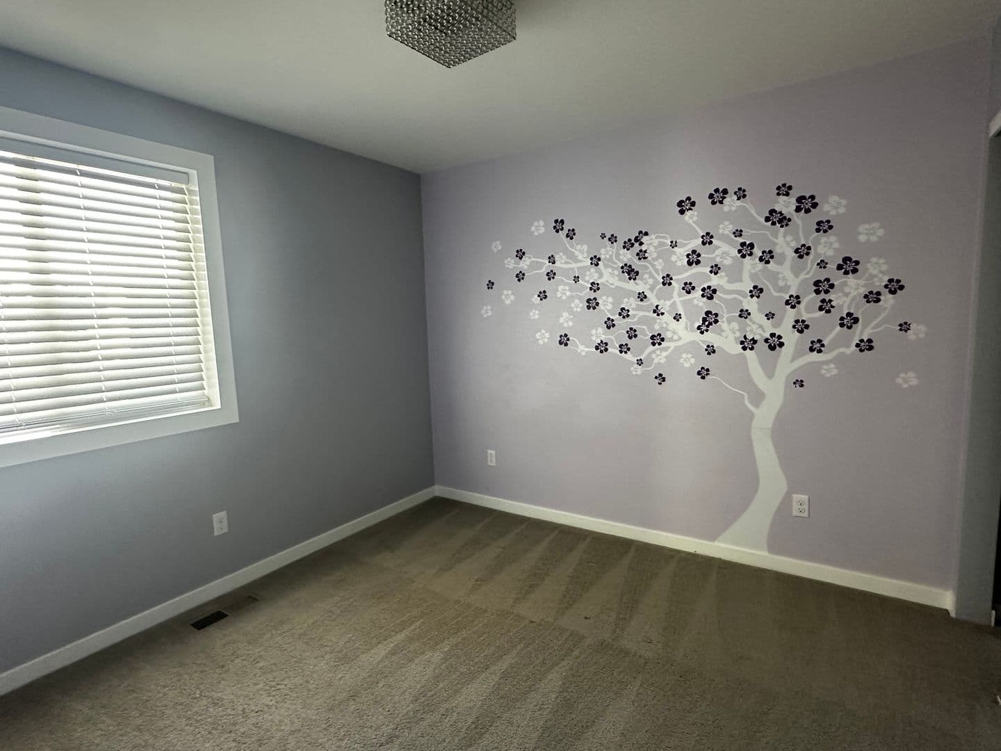 Commerce City House: 10816 Truckee Cir