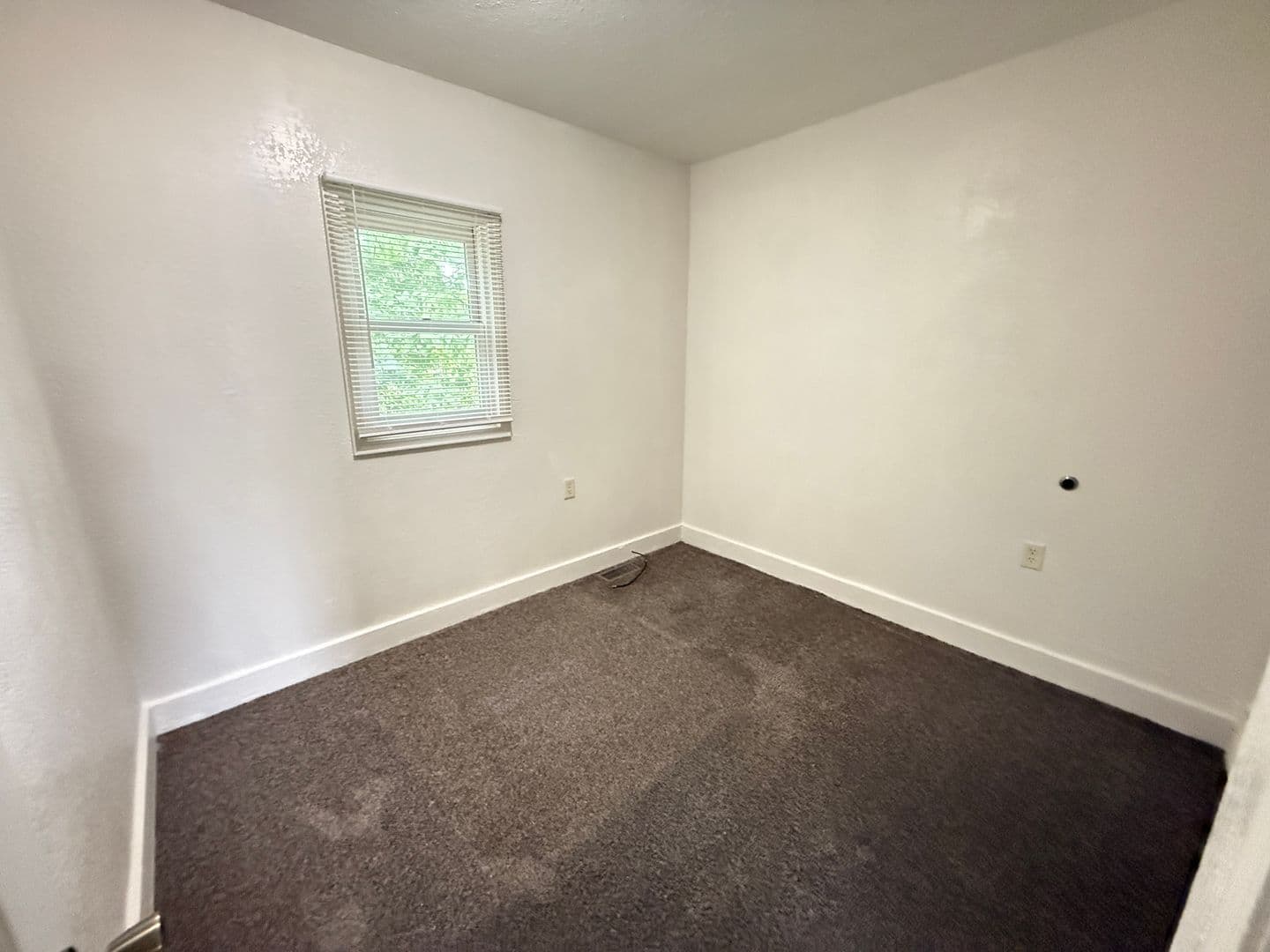 Jackson Apartment: 107 W Wilkins St