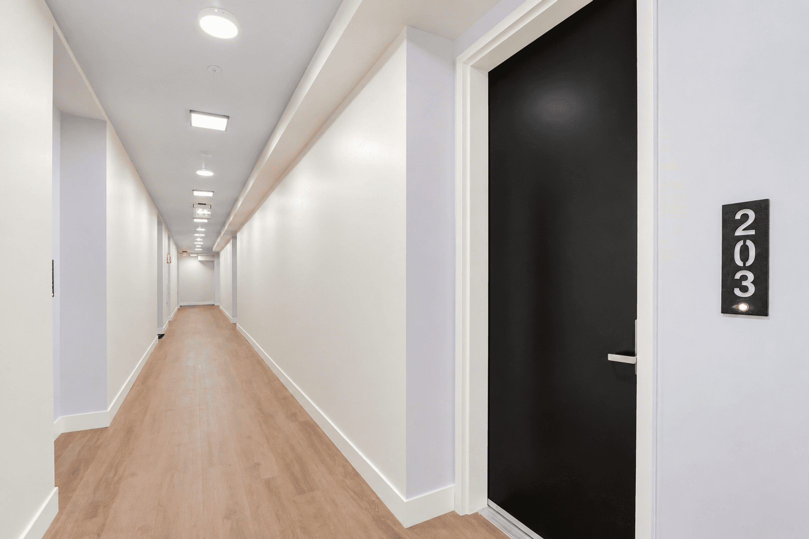 North Hollywood Apartment: 6500 Lankershim Blvd.