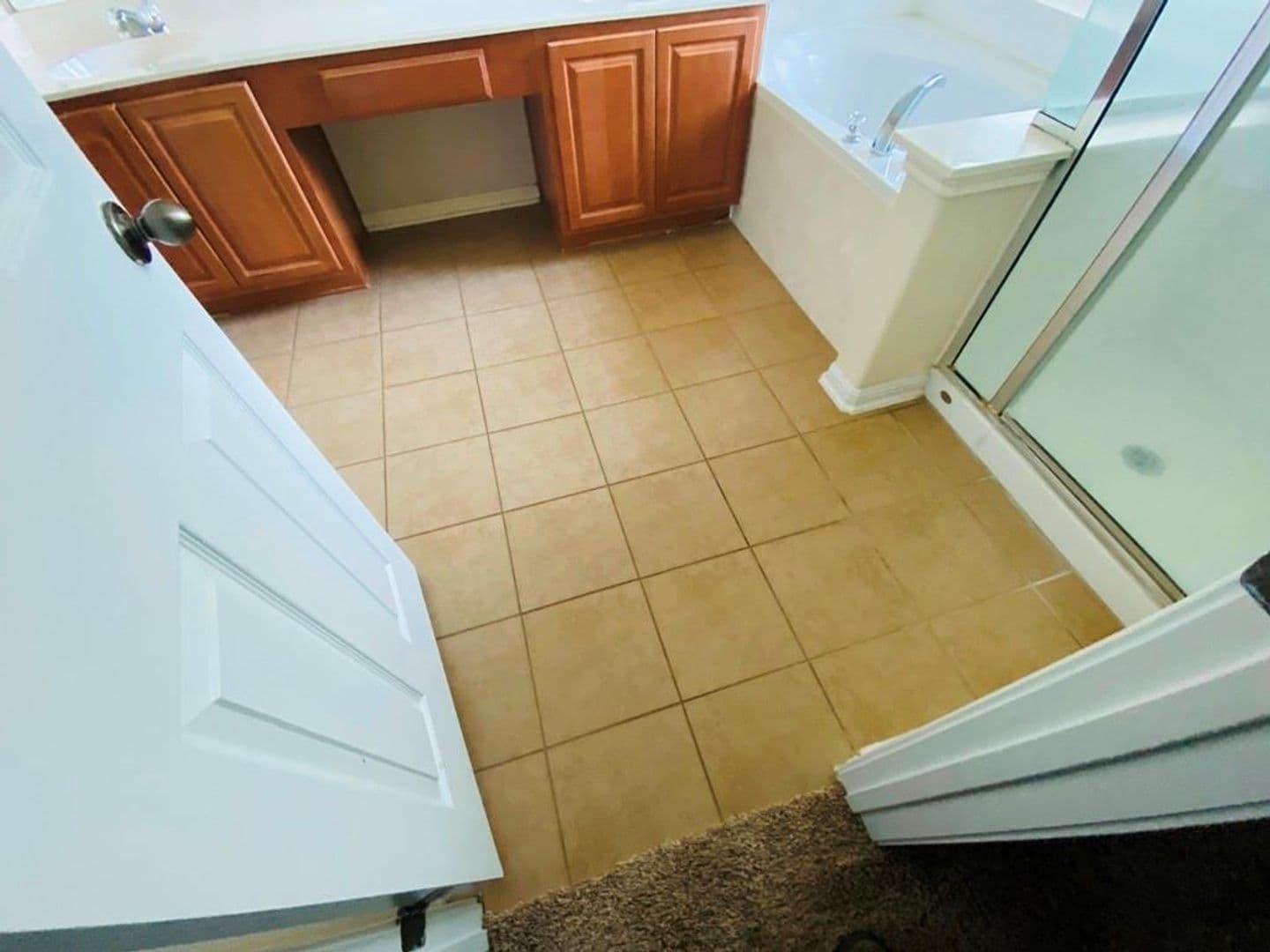 Round Rock House: 1002 Mesquite Hollow Pl.