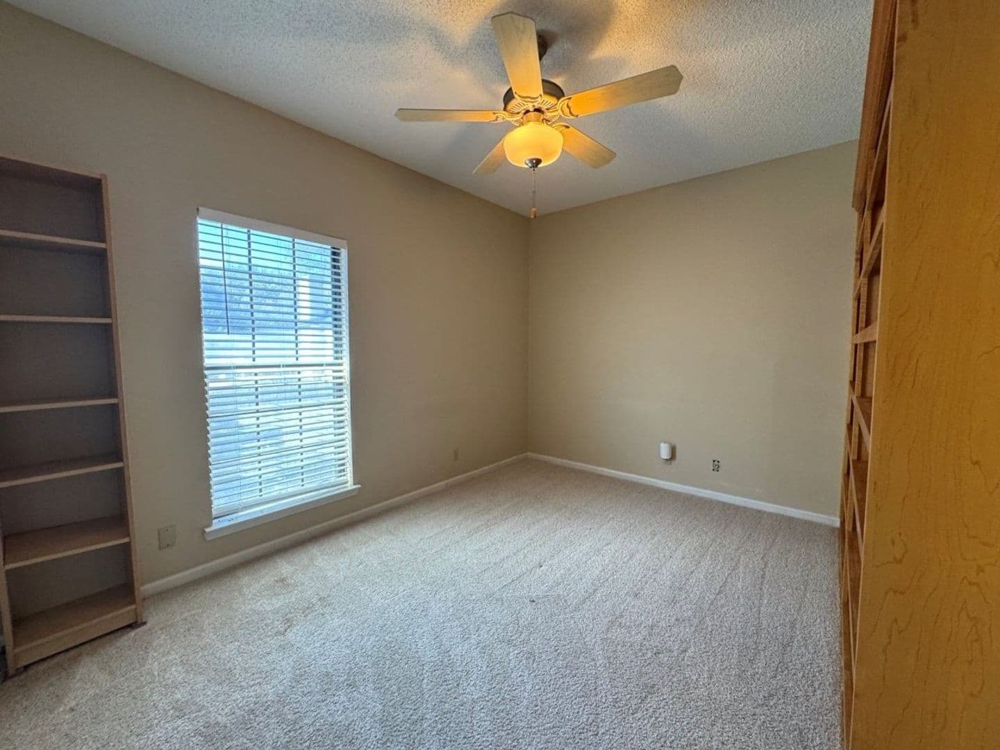 Austin House: 1307 Kinney Ave #161
