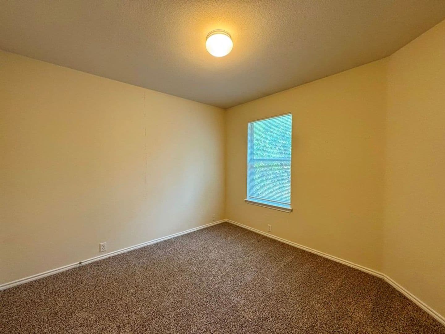 Kyle Apartment: 251A Utterback