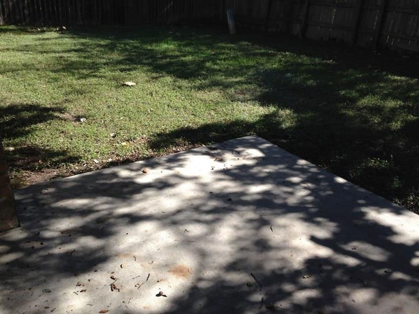 Round Rock Apartment: 1305 Glenda Dr.