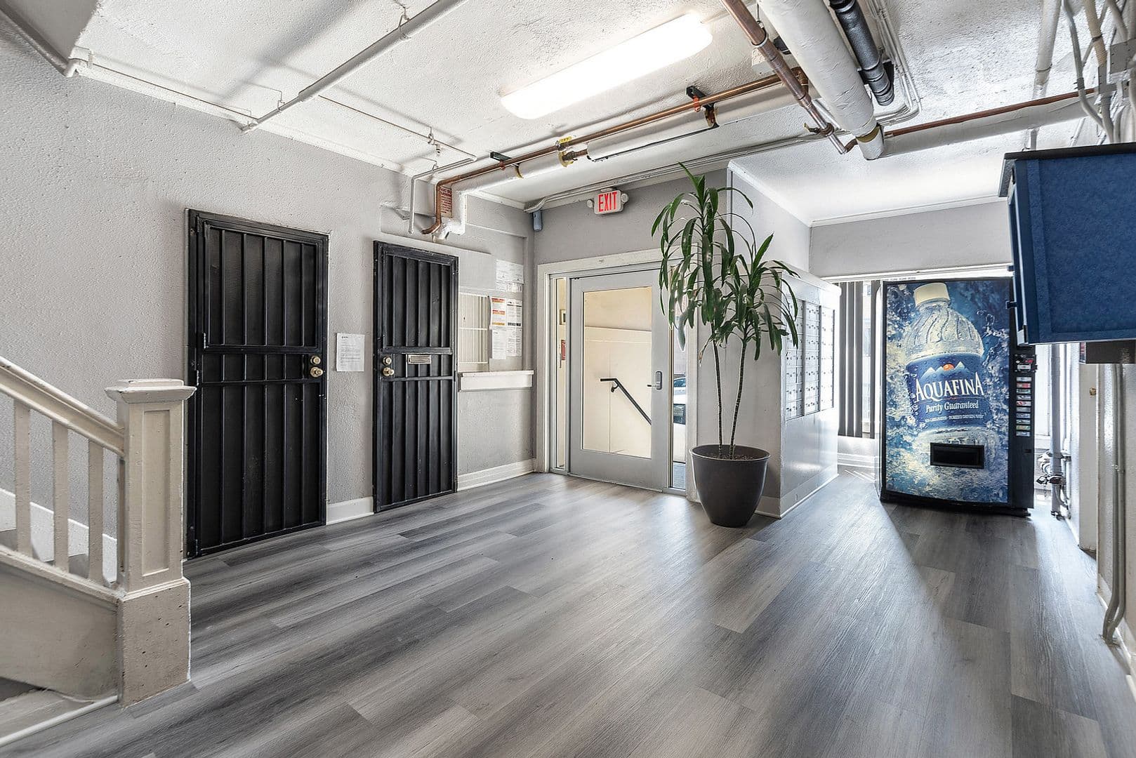 Los Angeles Apartment: 907 W. 17th St.