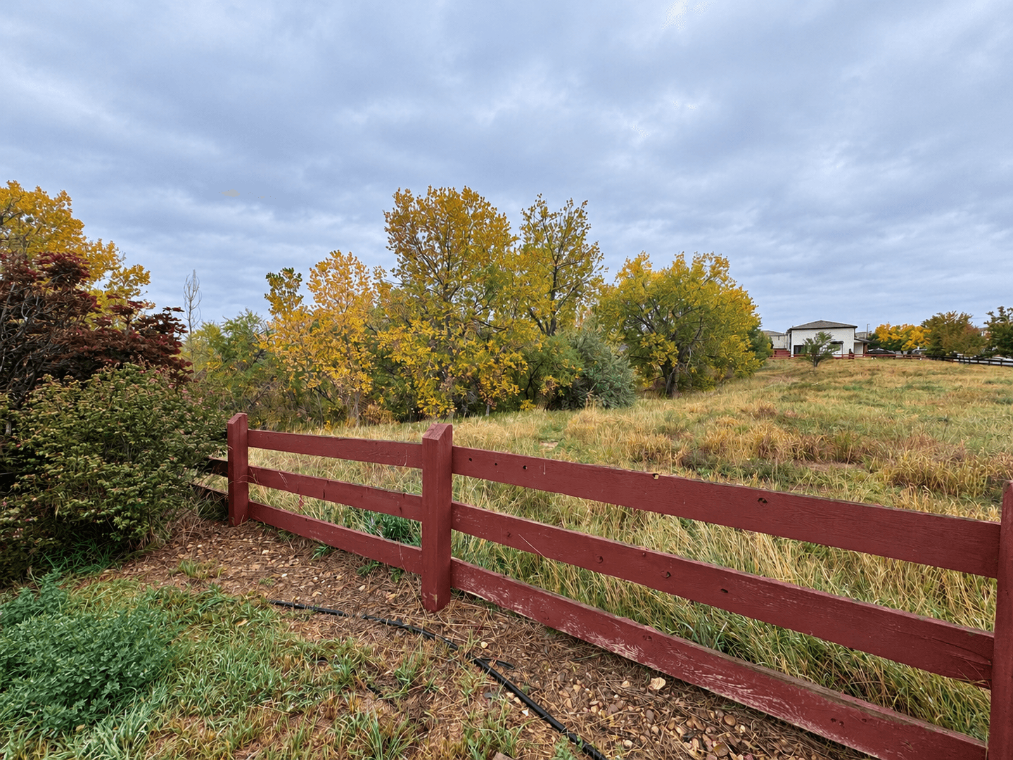 Denver House: 4022 Perth St