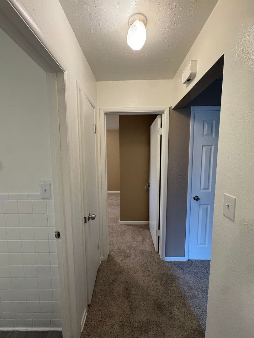 Lakewood Apartment: 1115 Carr Street