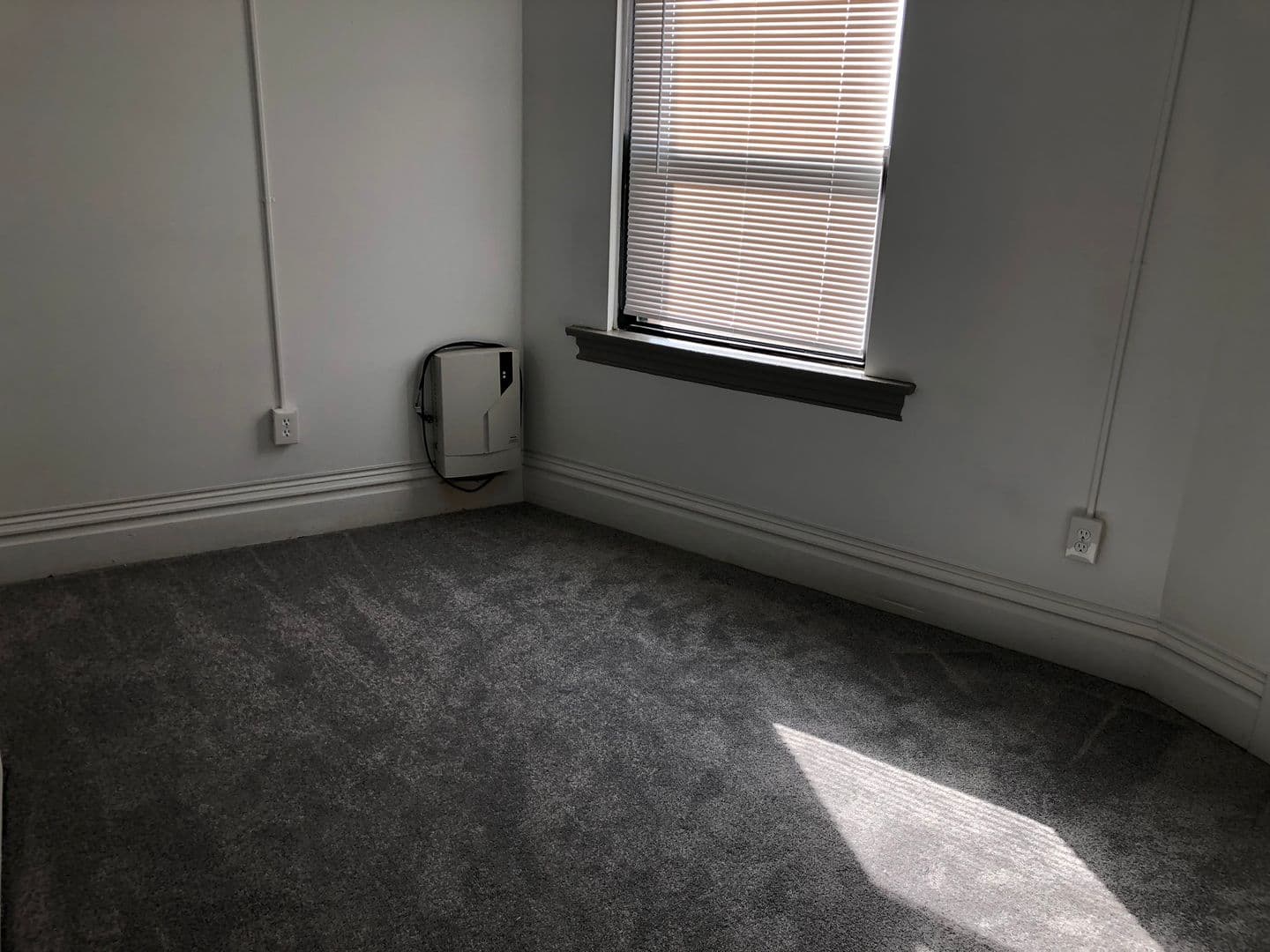 Pittsburgh Apartment: 18-20 Freeport St. - 20B Freeport St.